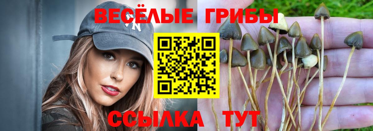Псилоцибиновые грибы мицелий Чусовой