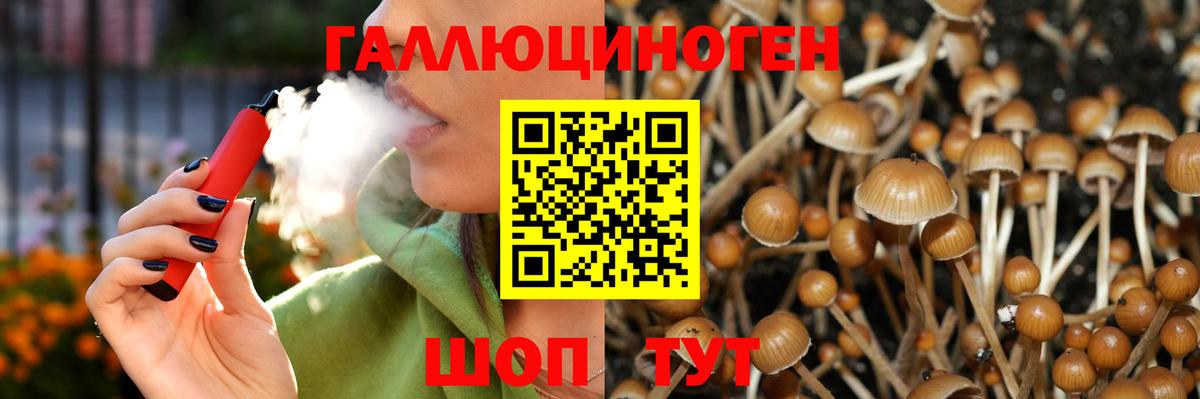 Чусовой  Галлюциногенные грибы ЛСД  Вход с VPN 